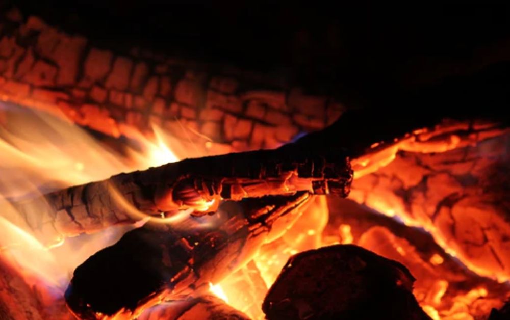 Wood for pizza oven, wood-fired pizza oven - TWFC