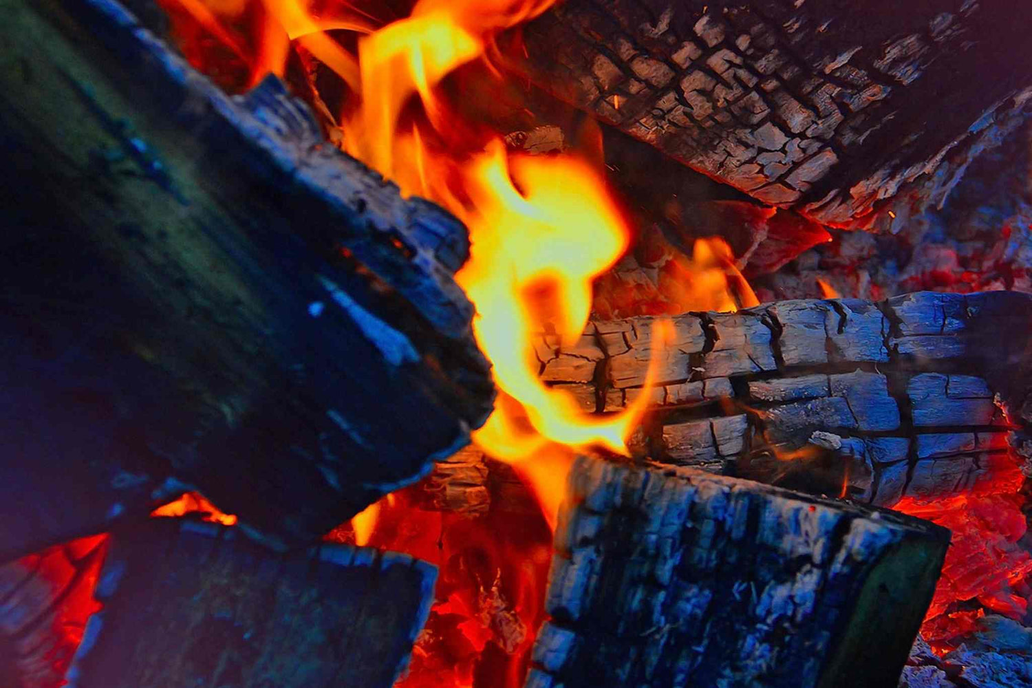 burning woods in wood fired oven - The Wood Fired Co